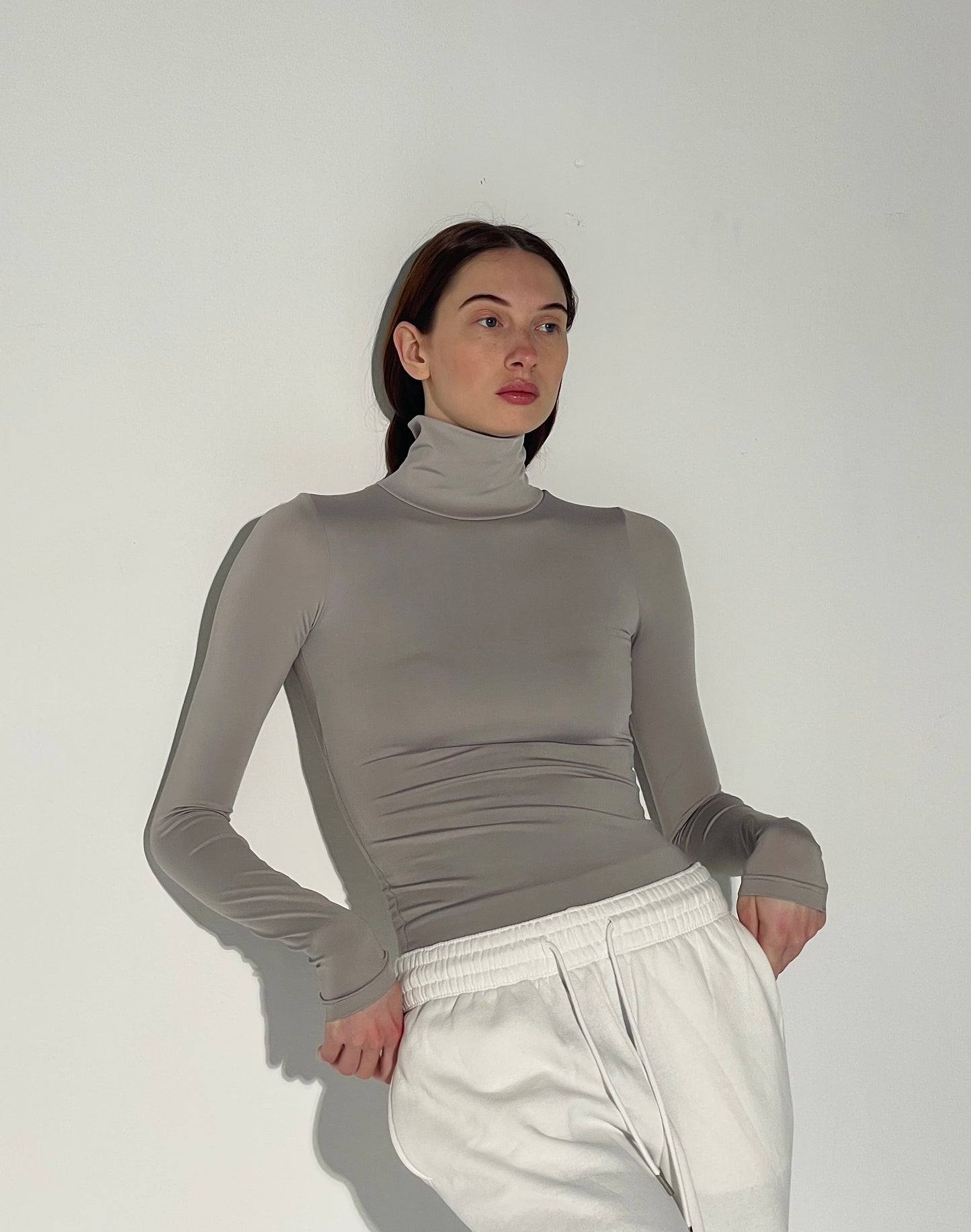 LONG SLEEVES TURTLENECK